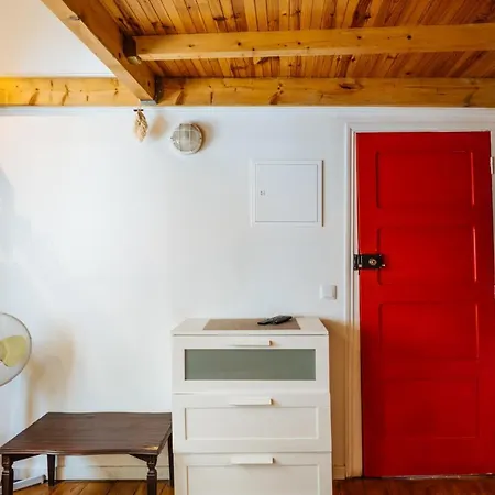 Apartment Great Graca Studio