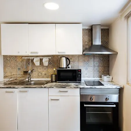 Apartment Great Graca Studio